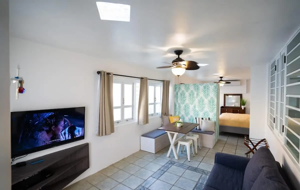 Romantic Dorado Beach Studio 波多黎各